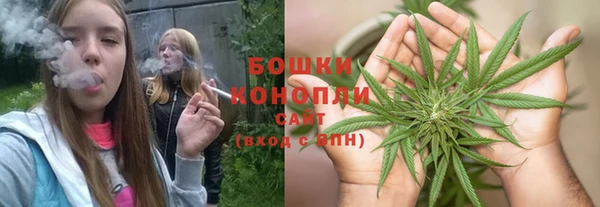 ГАЛЛЮЦИНОГЕННЫЕ ГРИБЫ Заволжск