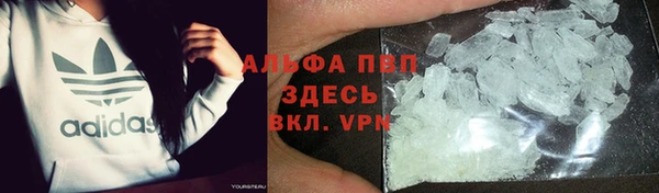 ГАЛЛЮЦИНОГЕННЫЕ ГРИБЫ Заволжск