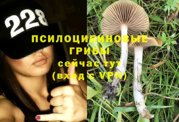 ГАЛЛЮЦИНОГЕННЫЕ ГРИБЫ Заволжск