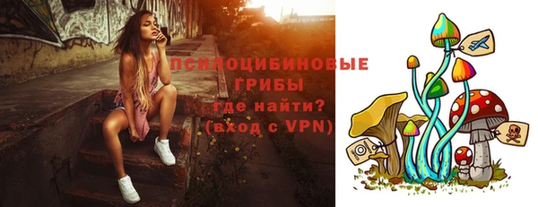 марки lsd Заводоуковск